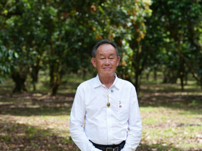 ส่องเส้นทาง “เงาะโรงเรียน” สินค้าจีไอ (GI) จ.สุราษฎร์ธานี ... พารามิเตอร์รูปภาพ 1
